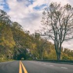 宝记平台的独特优势与市场竞争力分析 61qc6mr3