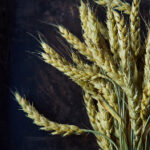 1999年完整历史开奖记录查询与回顾 6jeytr2