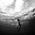 1999年全年开奖记录结果完整回顾与汇总 cwfe29l6