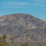 1991年开奖号码结果查询与历史数据汇总 szc70