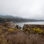 1994年全年彩票开奖结果完整记录 w46gm7mv4t