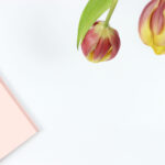 1996年开奖号码完整回顾与历史数据分析 xxbjlt9qh2